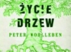 Sekretne życie drzew