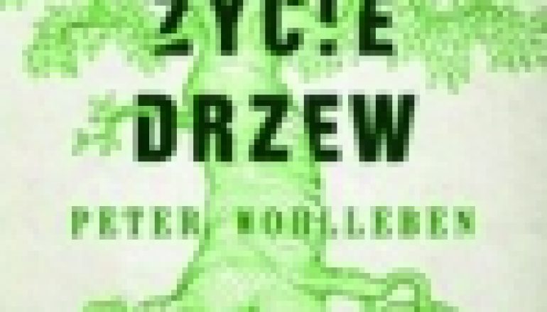 Sekretne życie drzew