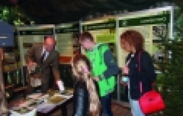 Nadleśnictwo Gołąbki – Leśnicy atrakcją festynu w Biskupinie