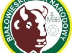 Puszcza Białowieska – Ruszy Centrum Wdrażania Projektów