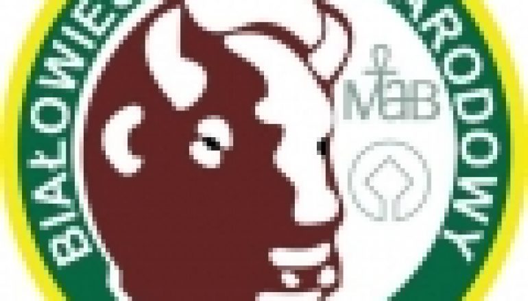 Puszcza Białowieska – Ruszy Centrum Wdrażania Projektów