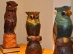 Sowy, sówki, sóweczki w Gołuchowie