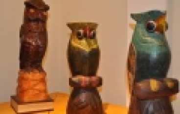 Sowy, sówki, sóweczki w Gołuchowie