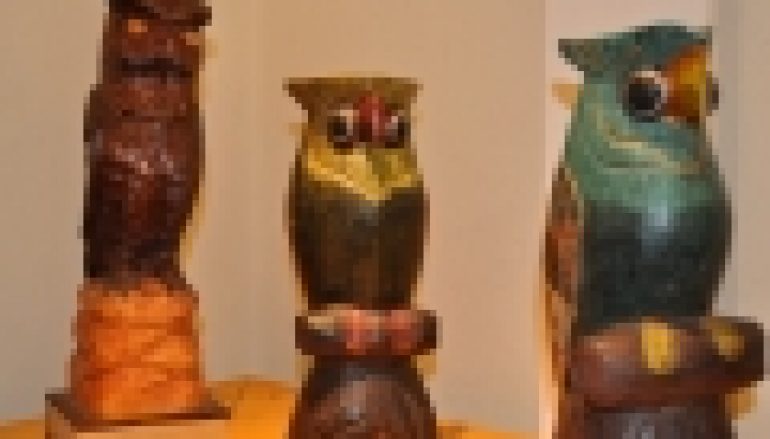 Sowy, sówki, sóweczki w Gołuchowie