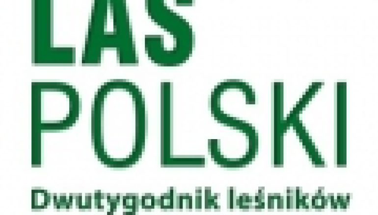 Leśnictwo na świecie – Polacy zalesiają Afrykę