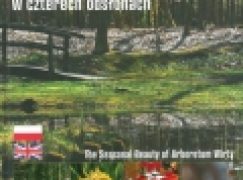 Arboretum Wirty w czterech odsłonach