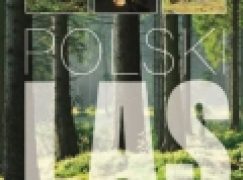 Polski las