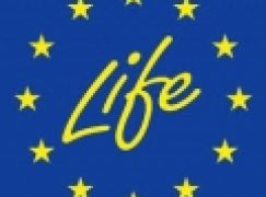 Program Life – Nabór rozpoczęty