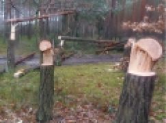 Nadleśnictwo Skarżysko – Bezmyślny wandalizm