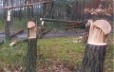 Nadleśnictwo Skarżysko – Bezmyślny wandalizm