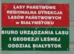 Puszcza Białowieska – 48,5 tys. m3