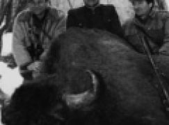 Marszałek i książę idą za żubrem (03/2019)