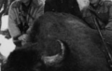 Marszałek i książę idą za żubrem (03/2019)