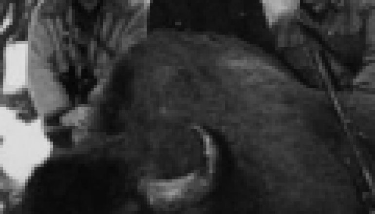 Marszałek i książę idą za żubrem (03/2019)