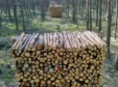 Jak układać gałęziówkę? – Stos doskonały