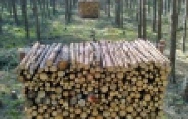 Jak układać gałęziówkę? – Stos doskonały