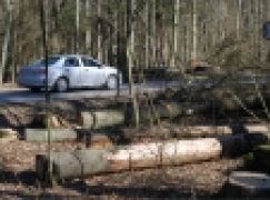 Puszcza Białowieska – Zawiadomienie do prokuratury