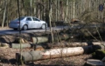 Puszcza Białowieska – Zawiadomienie do prokuratury