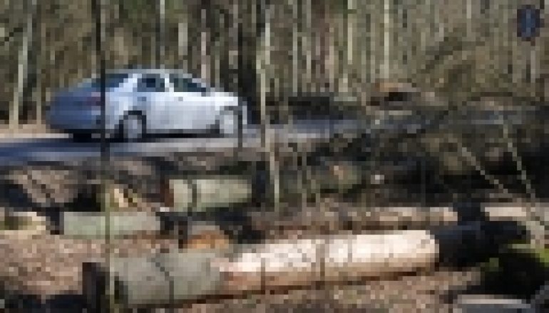 Puszcza Białowieska – Zawiadomienie do prokuratury