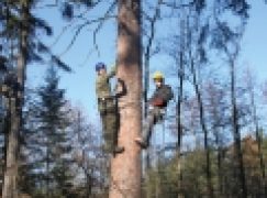 Leśny Bank Genów Kostrzyca – Szkolenie szyszkarzy