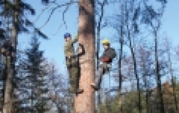 Leśny Bank Genów Kostrzyca – Szkolenie szyszkarzy