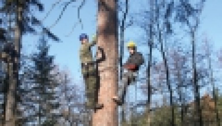 Leśny Bank Genów Kostrzyca – Szkolenie szyszkarzy