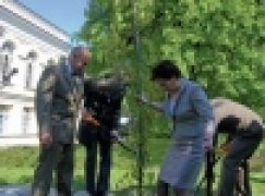 90-lecie LasówPaństwowych – Drzewo przed Sejmem