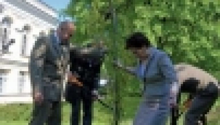 90-lecie LasówPaństwowych – Drzewo przed Sejmem