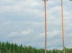 Lasy do Konstytucji po raz wtóry