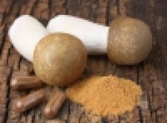 Grzyby, które leczą (nr 3/2018)