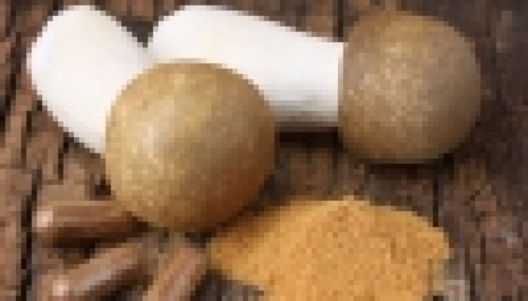 Grzyby, które leczą (nr 3/2018)