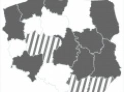 Lasy Państwowe – Zmian ciąg dalszy