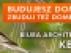 Budujesz dom dla siebie – zbuduj też domek dla ptaków