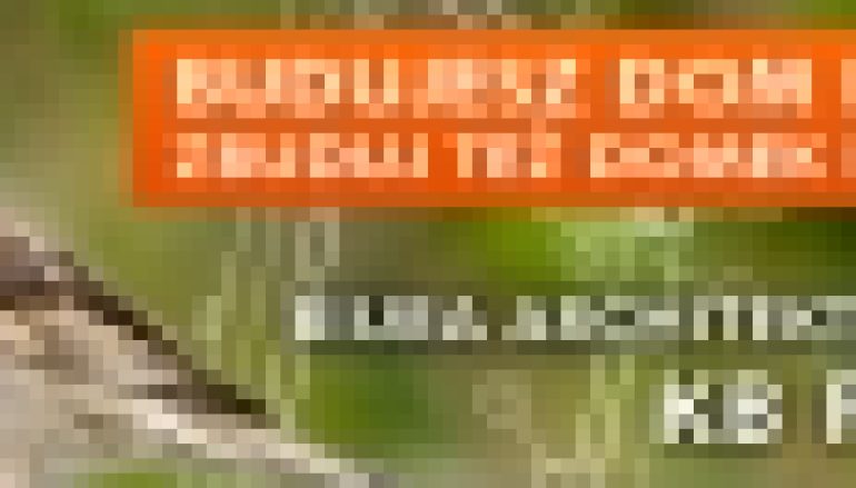 Budujesz dom dla siebie – zbuduj też domek dla ptaków