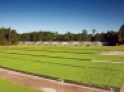 Czy szkółkarstwo kontenerowe się opłaca? (nr 20/2014)