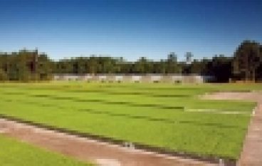 Czy szkółkarstwo kontenerowe się opłaca? (nr 20/2014)