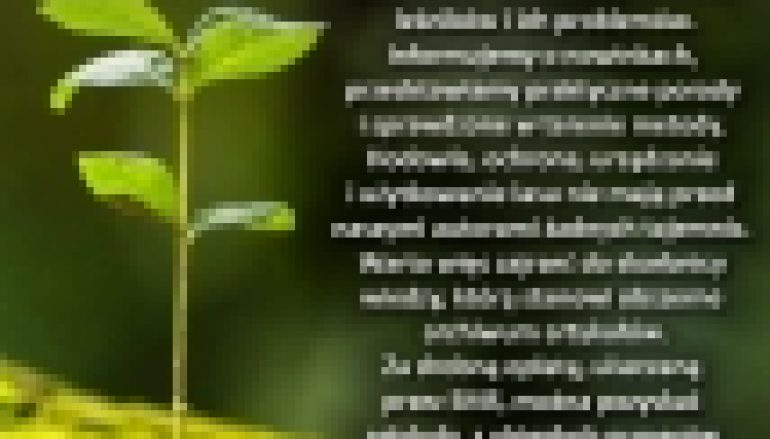 Kup archiwalne artykuły!