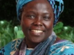 Zazieleniła Afrykę