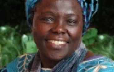 Zazieleniła Afrykę