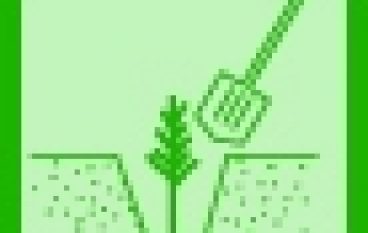 Doradcy zalesieniowi a doradcy leśni