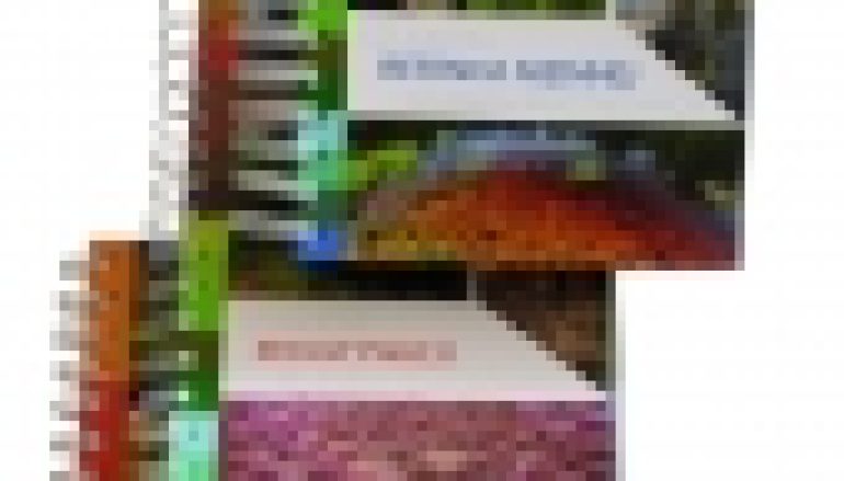 Szlakiem rekultywacji/retencji górskiej/ retencji nizinnej w Lasach Państwowych