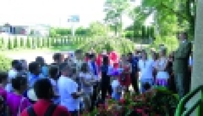 Światowe Dni Młodzieży – Zaangażowani leśnicy