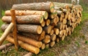 Gen zdradzi złodzieja