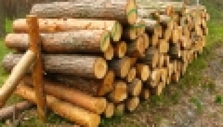 Gen zdradzi złodzieja