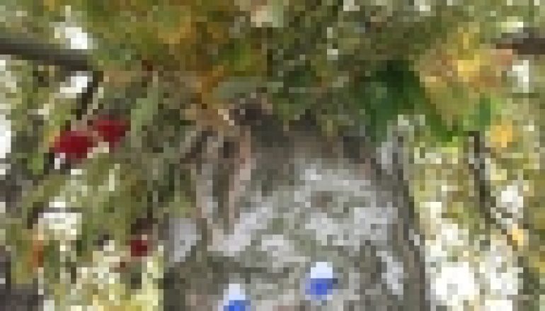 Smartfonom wspak! (5/2018)