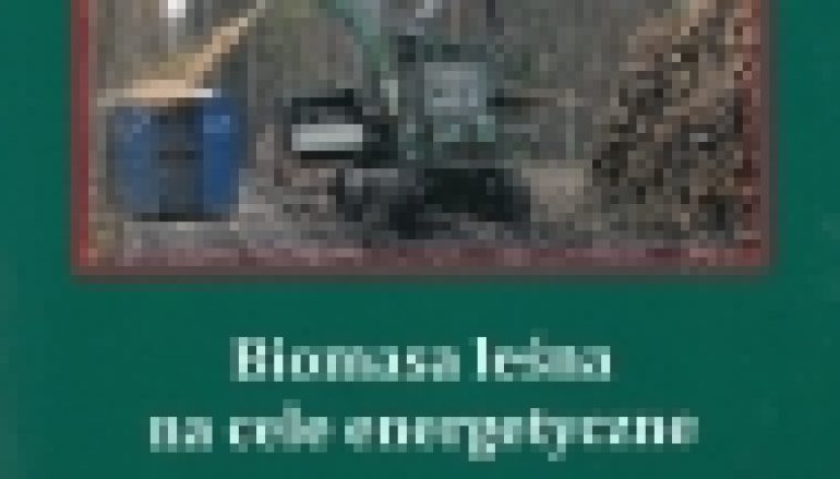 Biomasa leśna na cele energetyczne