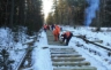 Nadleśnictwo Hajnówka – Remont wąskotorówki