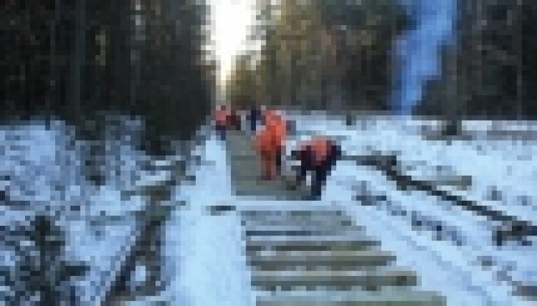 Nadleśnictwo Hajnówka – Remont wąskotorówki