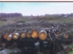 Working in Harvesting Teams