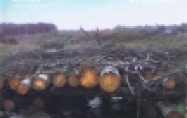 Working in Harvesting Teams